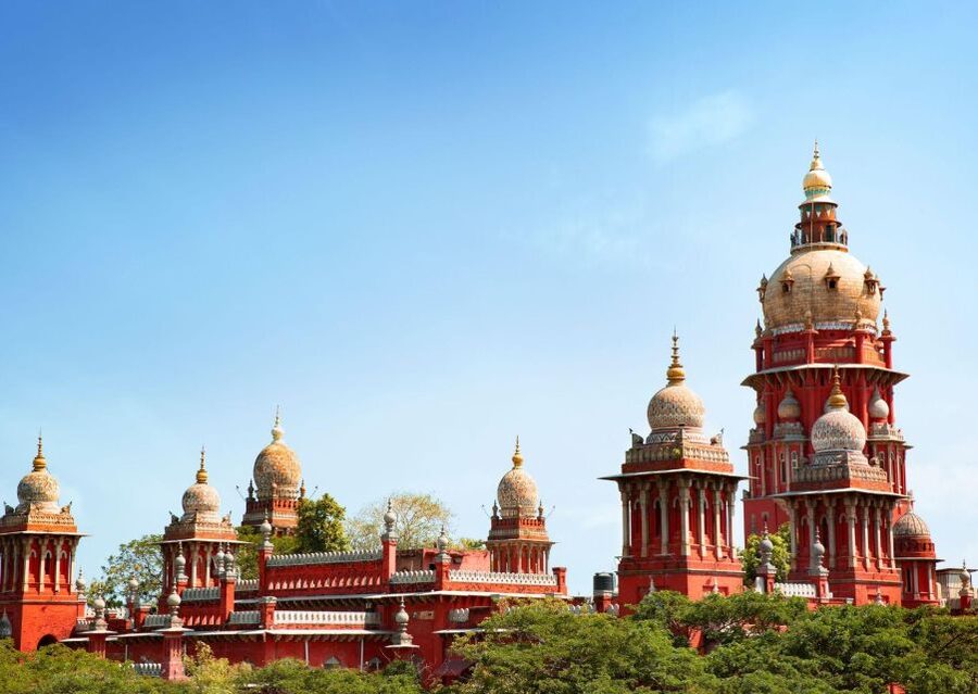 Chennai Walking Tour ( 2 hours guided tour) - Who This Tour Fits Best