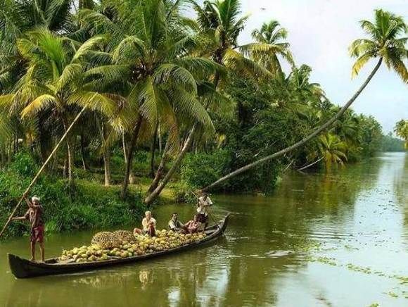Cochin : Alleppey/Alappuzha Backwater Canoe (Shikara) Cruise - Why this Alappuzha shikara cruise is a smart shore stop from Cochin