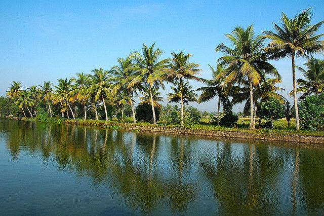 Cochin : Alleppey/Alappuzha Backwater Canoe (Shikara) Cruise - Inside the shikara canoe: what the small-boat feel really means