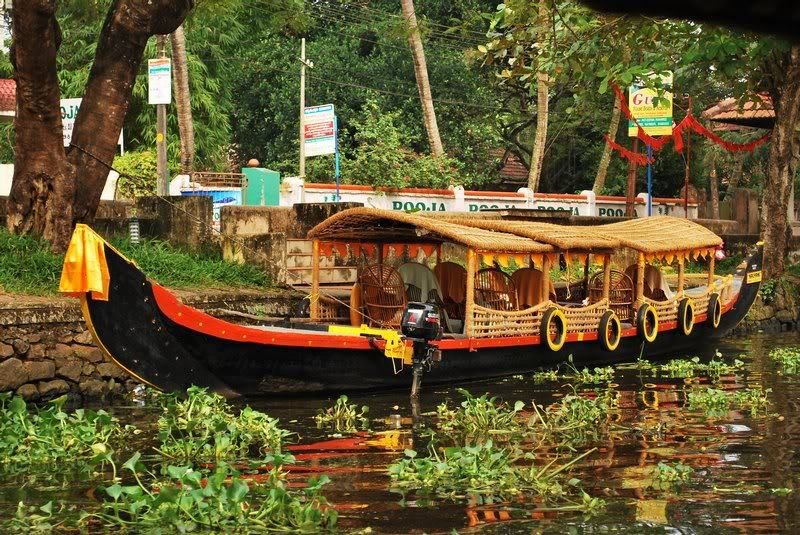 Cochin : Alleppey/Alappuzha Backwater Canoe (Shikara) Cruise - What you see on the water: paddy fields, coconut palms, and village routines