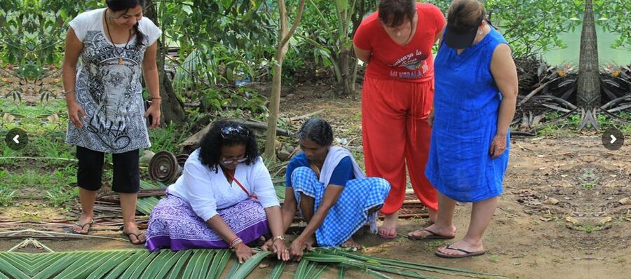 Cochin: Backwater Village Eco Boat Cruise with Lunch - Key things I’d circle before you book