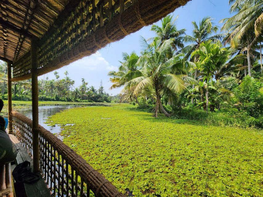 Cochin: Backwater Village Eco Boat Cruise with Lunch - Covered Country Boat: What Your Cruise Is Like