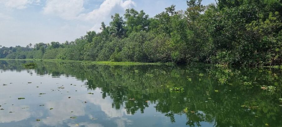 Cochin: Backwater Village Eco Boat Cruise with Lunch - What to Pack for a Quiet Canal Day