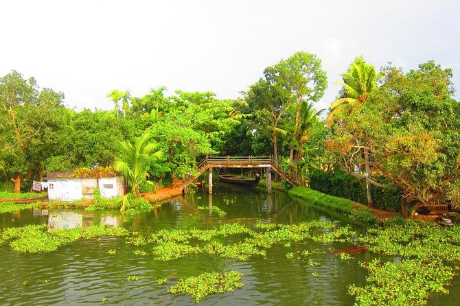 Cochin Shore Excursions from Cruise Terminal - Food, timing, and the small details that affect your comfort