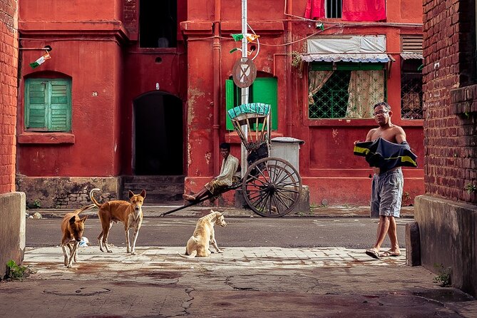 Cultural Confluence of Kolkata - Culture Kaleidoscope Tour - Pickup, meeting point, and why the logistics matter for a 3-hour tour