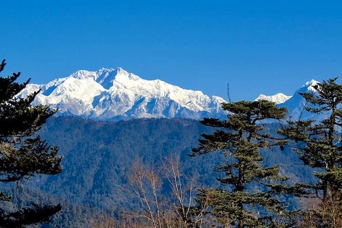 Darjeeling Tonglu Day Trek - Key highlights to know before you go