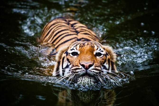 Day Trip Taj Mahal, Agra Fort & Baby Taj Tour from Delhi by Car - Food and comfort details that can make or break the day