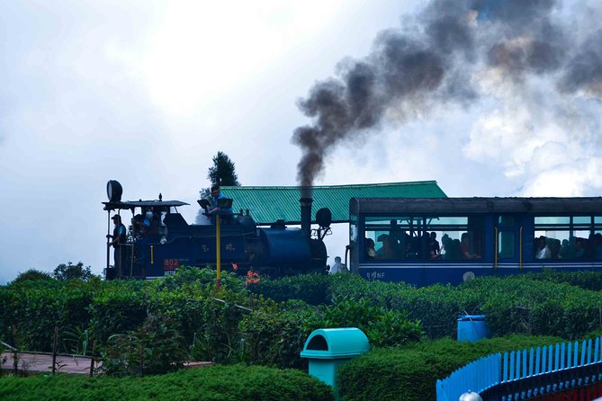Day_Trippers (Darjeeling Full Day Tour). - Stop-by-Stop Darjeeling Highlights, What Each Place Gives You