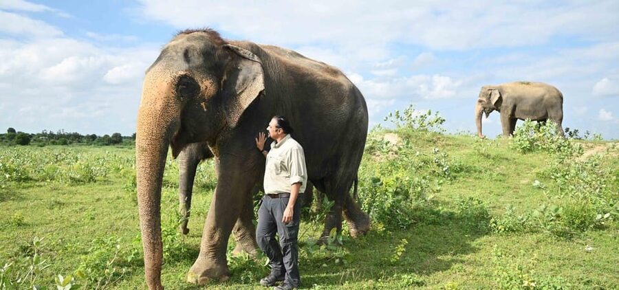 Delhi: All-Inclusive Day trip Taj Mahal with Elephant SOS - What This Tour Really Feels Like on the Ground