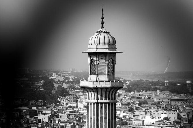 Delhi: Customized Full Day Tour of Old and New Delhi - Who should book this tour, and who might want something else