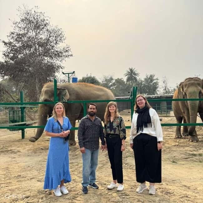 Delhi: Sunrise Taj Mahal & Elephant SOS Tour with Transfers - Private Delhi-to-Agra Car, Pickup Choices, and Why Timing Matters