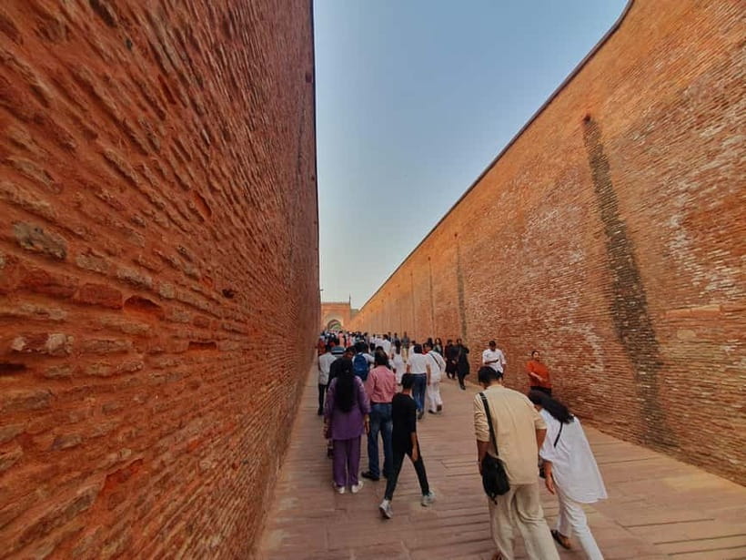 Delhi: Sunrise Taj Mahal & Elephant SOS Tour with Transfers - Mughlai Lunch at a 5-Star Hotel Stop and a Much-Needed Reset