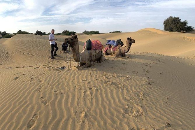 Desert Camel Safari & Jeep Safari Tour From Jodhpur - Who should book this Desert Camel and Osian Temple Safari