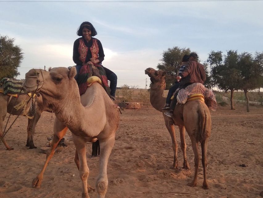 Desert Jeep Safari & Camel Safari Tour From Jodhpur - Pickup, private transport, and how you avoid time-waste