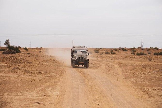 Desert Safari Tour Package - Small-group travel, pickup, and how the logistics actually work