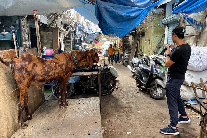 Dharavi Slum Tour in Mumbai with Combo Packages & Transfers - Tips to help you have a respectful, comfortable visit