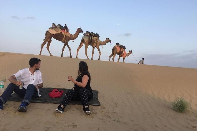 Dinner on the Dunes & Camel Safari - Key Things I’d Focus On Before You Go