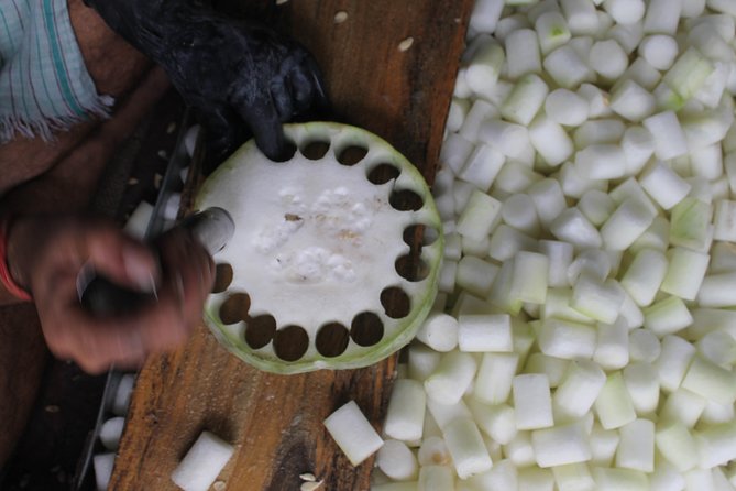 Discover Oriental Agra Day Tour - Oriental Agra by eco rickshaw: why this format is smart