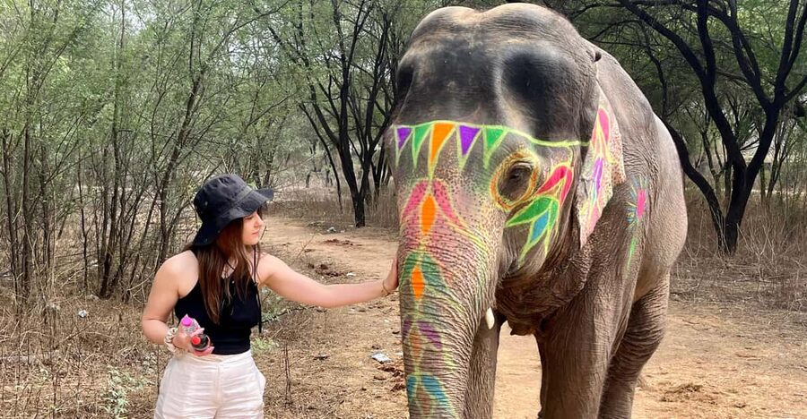 Elefun Best Elephant Sanctuary in Jaipur - Why This Jaipur Elephant Sanctuary Feels Different Than Typical Tours
