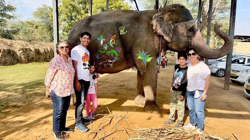 Elefun Best Elephant Sanctuary in Jaipur - Elephant Painting With Natural, Skin-Friendly Materials