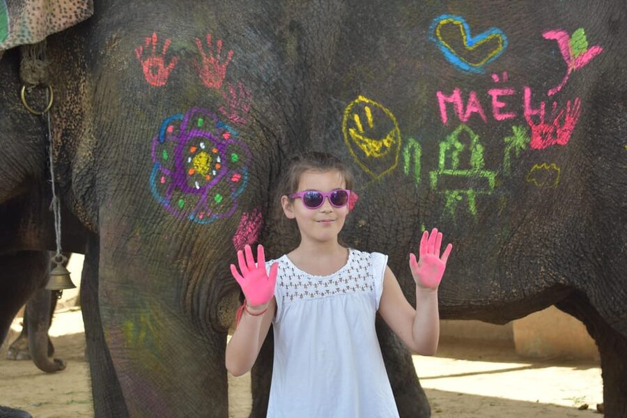 Elefun Best Elephant Sanctuary in Jaipur - Walking With Your Elephant Instead Of Riding