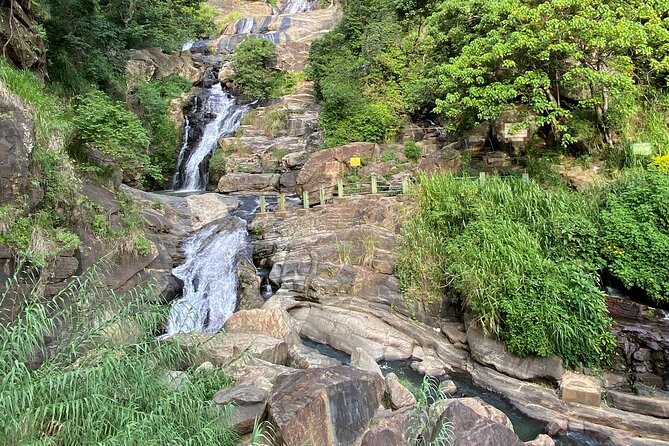 Ella Private Day Tour - Departing from Any Location in Sri Lanka - Tea plantation visit: the best kind of cultural stop
