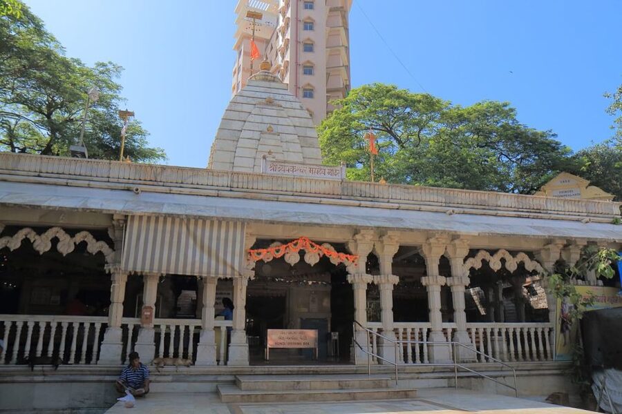 Essence of Mumbai: Half-Day Private Tour - Victoria Terminus (CST) and Mani Bhavan: Buildings That Tell Political Time