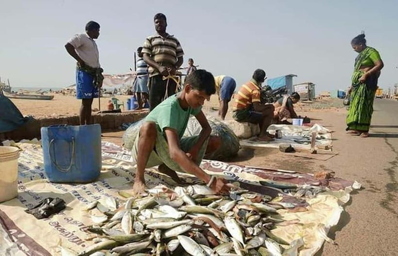 Experience the Essence of Chennai: Half-Day City Exploration - Santhome Basilica, the fish market, and Marina Beach