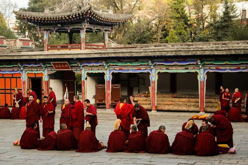 Explore Dharamshala's monasteries for Tibetan spirituality - A half-day monastery route you can actually use