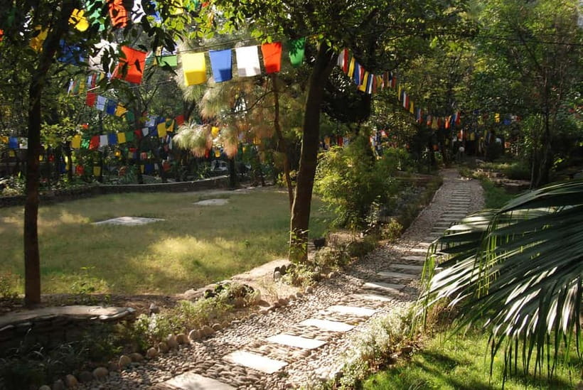 Explore Dharamshala's monasteries for Tibetan spirituality - Gyuto Monastery, tantric teachings and daily monastic life