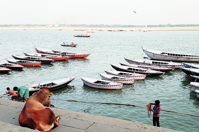 Explore the Highlights of Varanasi - Where you meet, how the tour starts, and what to expect