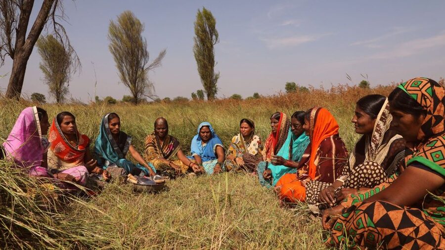Farm to Table: With a local farmer family - Sarson Ka Saag and Gatte Ka Saag, From Field to Bowl