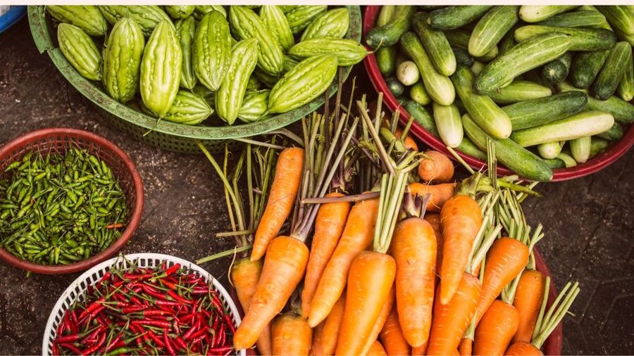 Farm to Table: With a local farmer family - Price and Value for a 2-Hour Rajasthani Food Experience