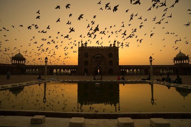 Five Day - Private Luxury Golden Triangle Tour to Agra & Jaipur From New Delhi. - Who Should Book This 5-Day Private Luxury Tour, and Who Might Skip It