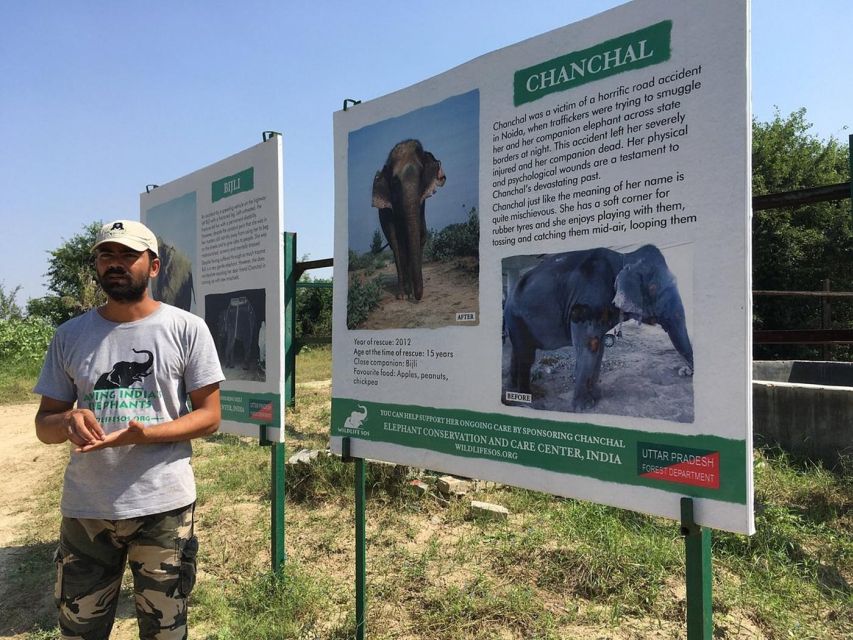 From Agra: Visit to Wildlife SOS Elephant Conservation Trip - Key highlights you should care about