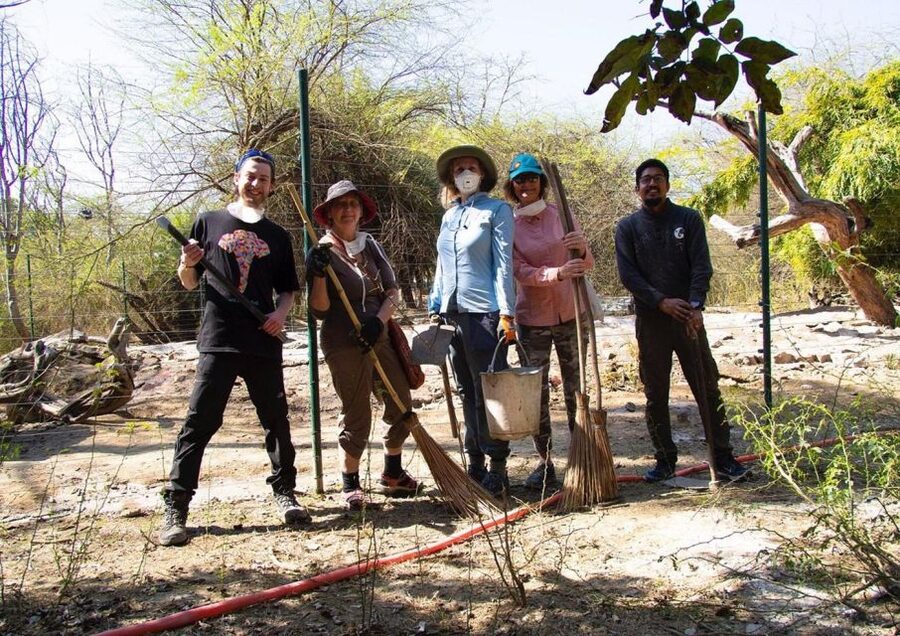 From Agra: Visit to Wildlife SOS Elephant Conservation Trip - Who this Wildlife SOS elephant trip fits best