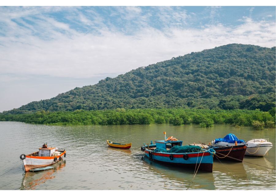 From Colaba: Half-Day Sightseeing Tour with Elephanta Caves - Entering the Caves: Seven Excavations, Three Main Cave Experiences
