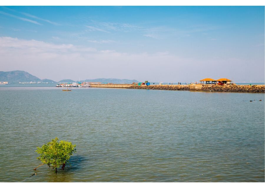 From Colaba: Half-Day Sightseeing Tour with Elephanta Caves - From Colaba to Elephanta: The Gateway of India Start