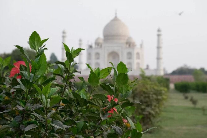 From Delhi : Luxury Taj Mahal Tour By Luxury Car- All Inclusive - Why a Luxury Taj Mahal Tour From Delhi Makes Sense (Even If You Love Independent Travel)