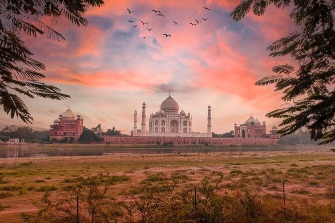 From Delhi : Luxury Taj Mahal Tour By Luxury Car- All Inclusive - Courtyard Agra and the Mid-Day Reset: Why This Stop Exists