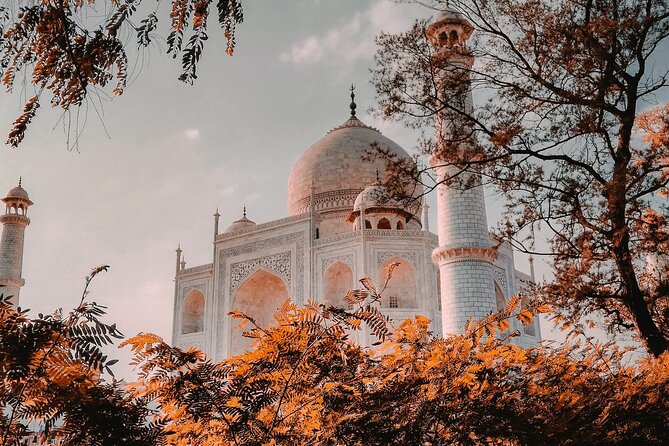 From Delhi : Private Day Trip to Taj Mahal & Agra Fort by Car - All Inclusive - Small Risks to Plan For (So Your Day Stays Smooth)