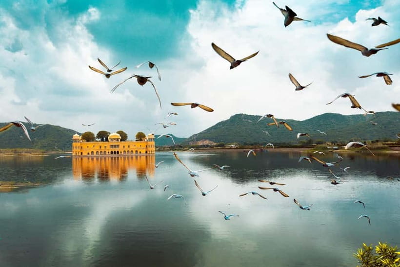 From Delhi: Private Full-Day Jaipur Highlights Tour - Key highlights to look forward to