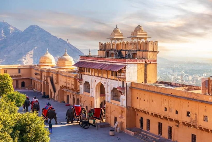 From Delhi: Private Full-Day Jaipur Highlights Tour - Amber Fort skip-the-line: regal halls and real photo wow