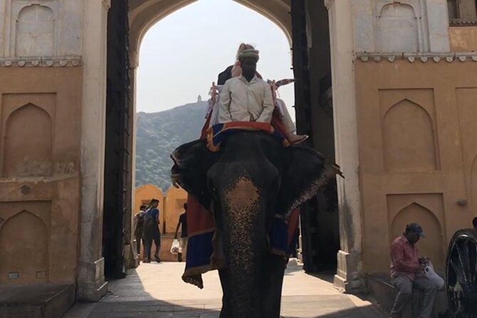 From Delhi: Private Jaipur Tour by Car - All Inclusive - Road Trip Reality: Delhi to Jaipur With AC, Parking, and a Real Schedule