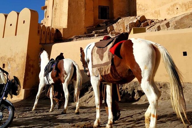From Delhi: Private Jaipur Tour by Car - All Inclusive - Price and Logistics: Why This Day Trip Can Be Good Value