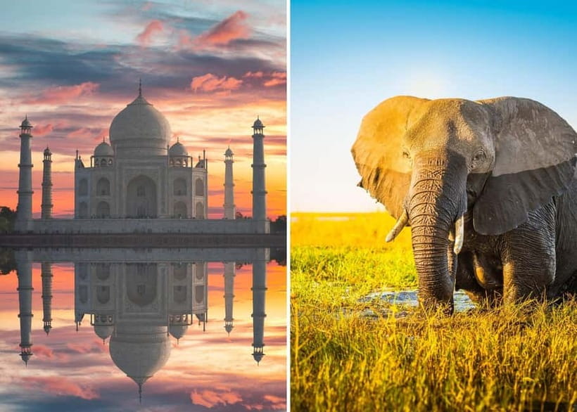 From Delhi: Taj Mahal Sunrise Tour with Elephant SOS Center - Key highlights I’d plan around
