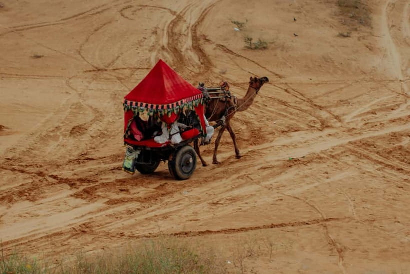 From Jaipur : Private Ajmer Pushkar Tour by Cab - The big idea: Jaipur, Pushkar, and Ajmer in one day