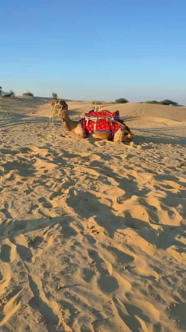 From Jaipur : Private Ajmer Pushkar Tour by Cab - Pushkar sunrise and the Brahma Temple focus