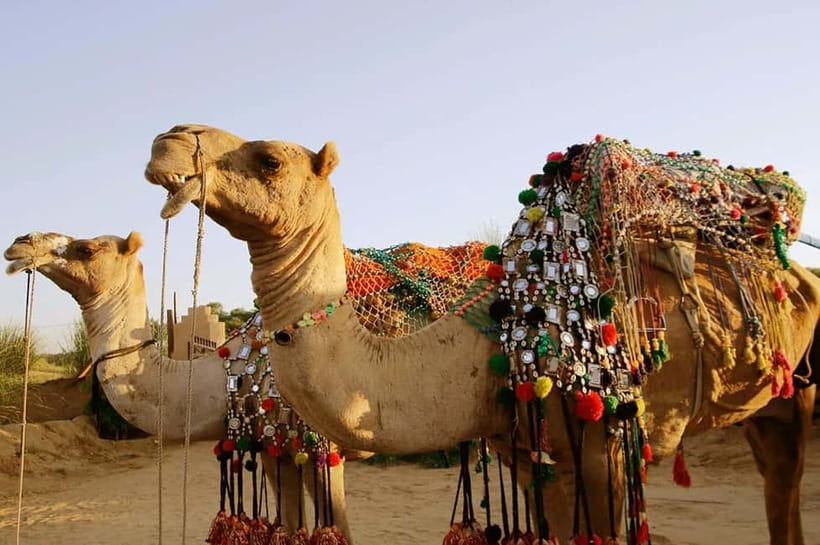 From Jaipur : Private Ajmer Pushkar Tour by Cab - Optional safaris: camel, jeep, or horse in the desert zone