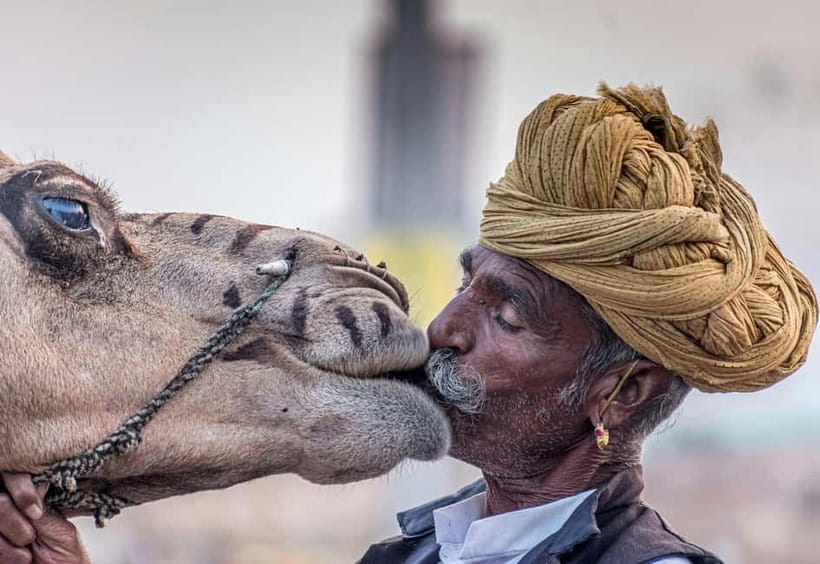 From Jaipur: Pushkar and Ajmer Private Day Trip - Why this Pushkar and Ajmer day trip feels like two worlds